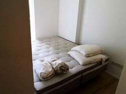 Newton Suites (D11), Apartment #557029341
